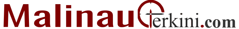 Malinau Terkini